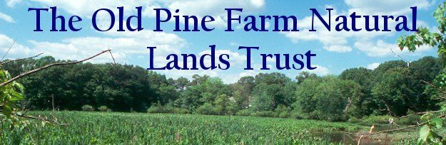 The Old Pine Farm Natural Lands Trust — a greenway on the banks of Big Timber Creek
